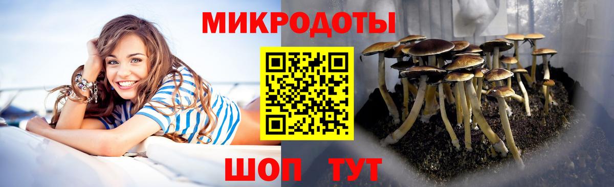 Псилоцибиновые грибы Psilocybine cubensis Мирный